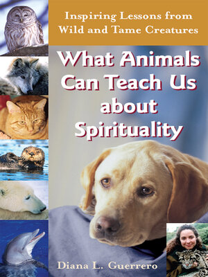 cover image of What Animals Can Teach Us About Spirituality